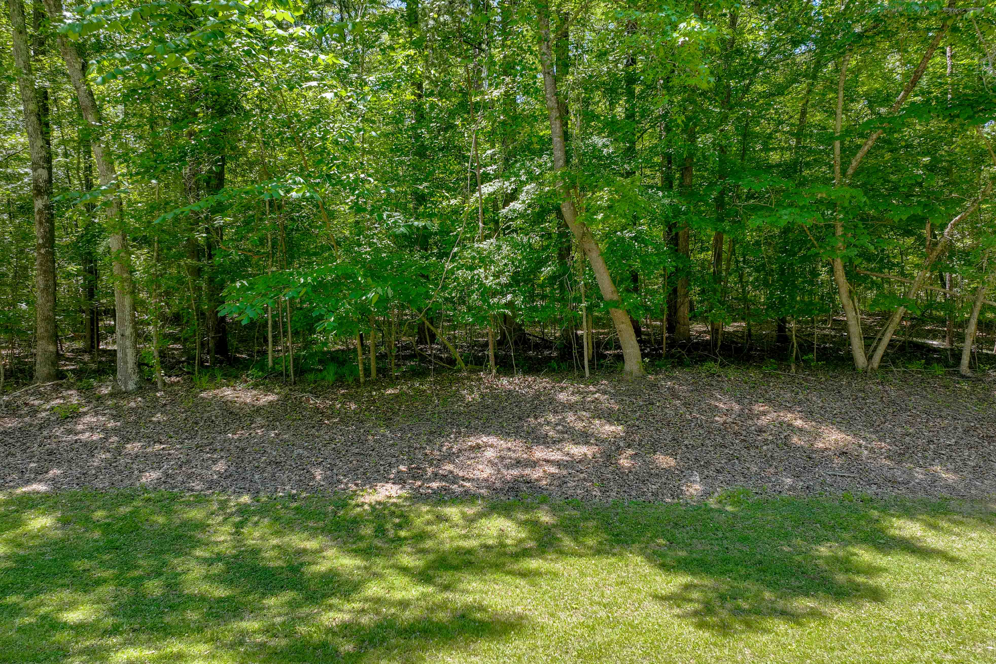 132 Broadlands Drive image 1